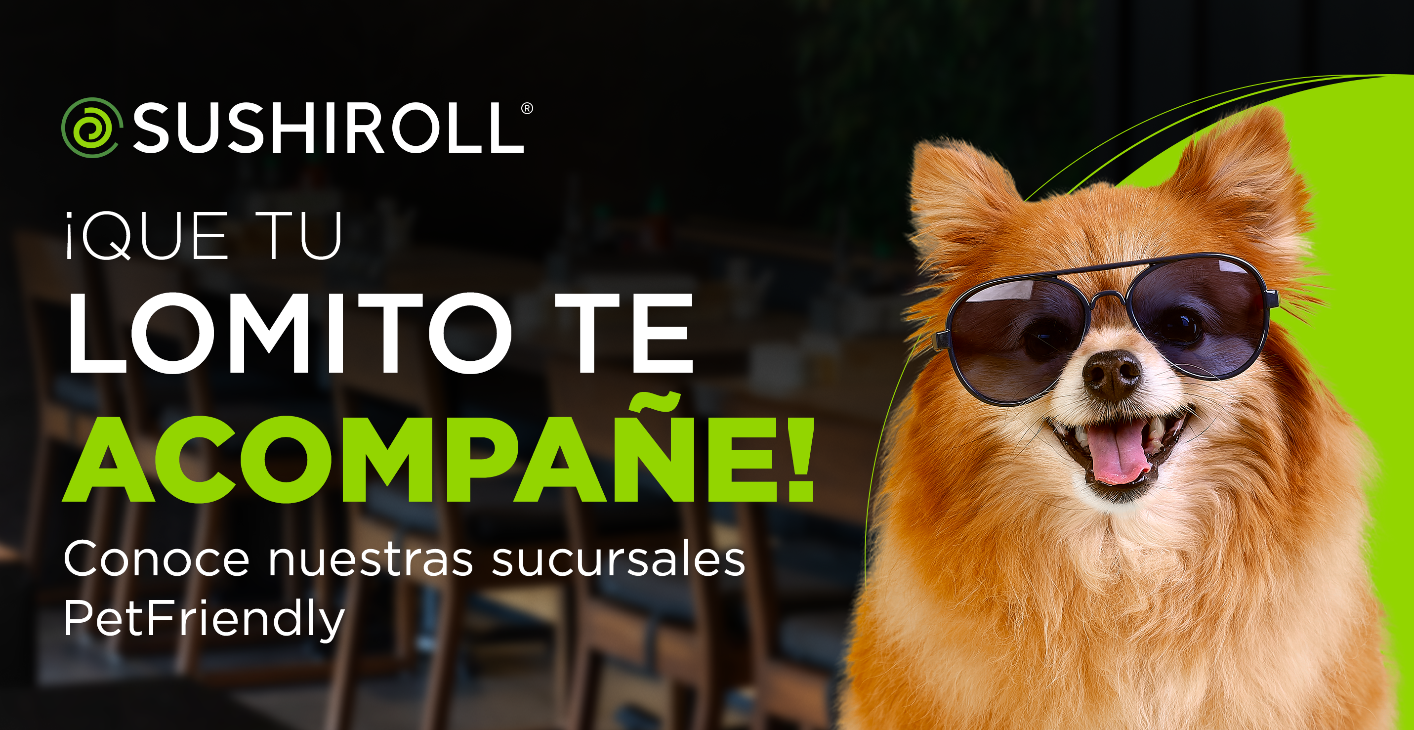 PetFriendly